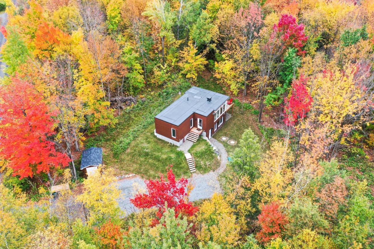 Sutton Wellness Cabin #267 Rez-De-Chaussee المظهر الخارجي الصورة